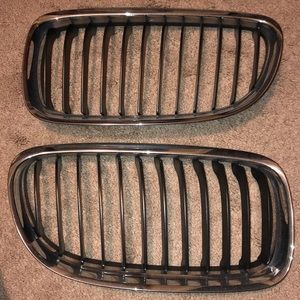 BMW kidney Grill